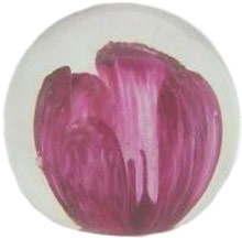 Strathearn Paperweight P004