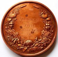 John Moncrieff International exhibition medal 1879