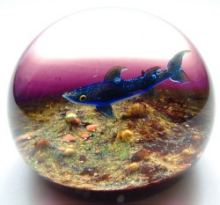 Shark paperweight by William Manson