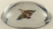 Paul Ysart paperweight PY4010